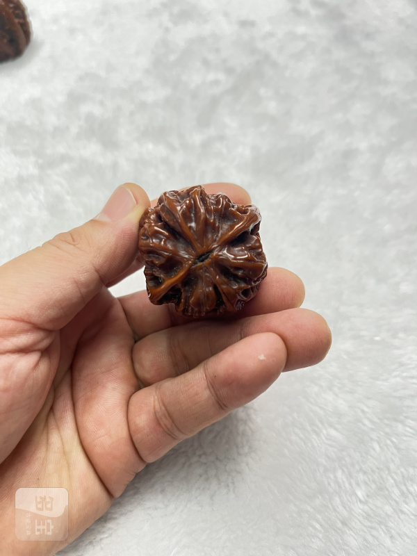 鸡心核桃手捻一对 - 图10